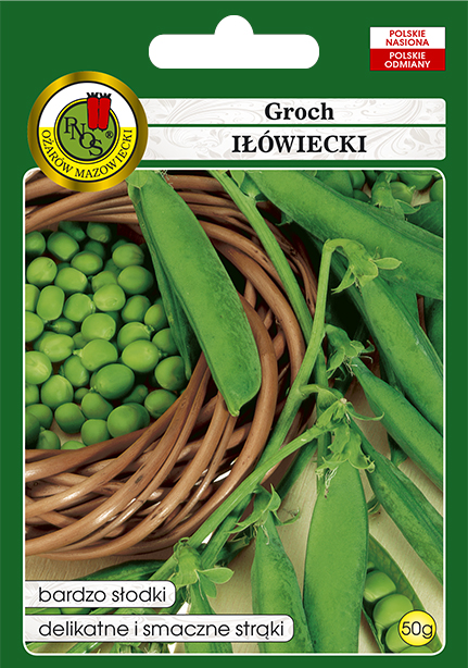 PNOS GROCH IŁÓWIECKI 50G