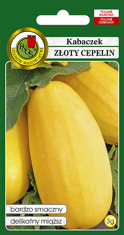 PNOS KABACZEK ZŁOTY CEPELIN 3G
