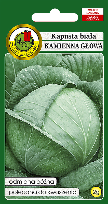 PNOS KAPUSTA KAMIENNA GŁOWA