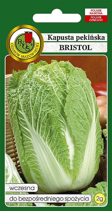 PNOS KAPUSTA PEKIŃSKA BRISTOL