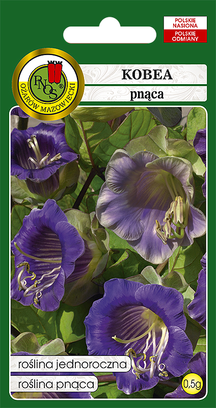 PNOS KOBEA PNĄCA FIOLETOWA 0,5G