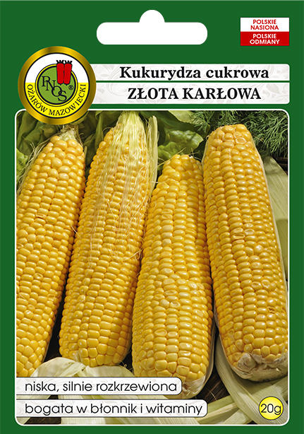 PNOS KUKURYDZA ZŁOTA KARŁOWA 20G