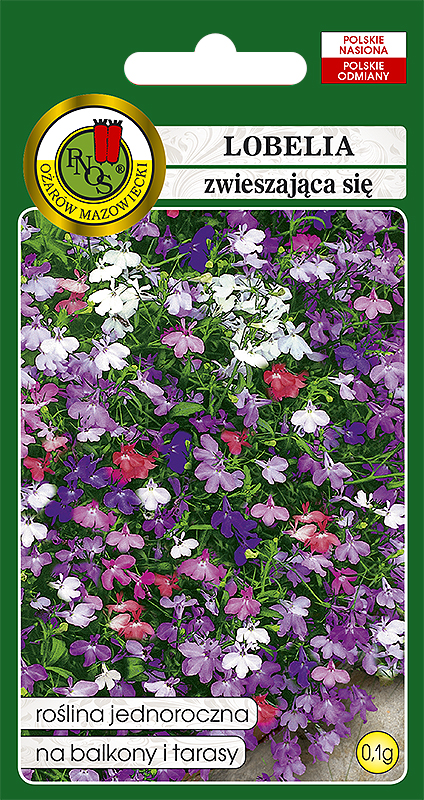 PNOS LOBELIA ZWIESZAJĄCA SIĘ CASCADE MIESZANA