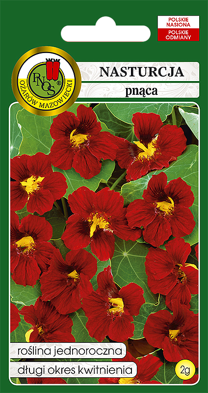 PNOS NASTURCJA PNĄCA SCHARLACHGLANZ CZERWONA 2G
