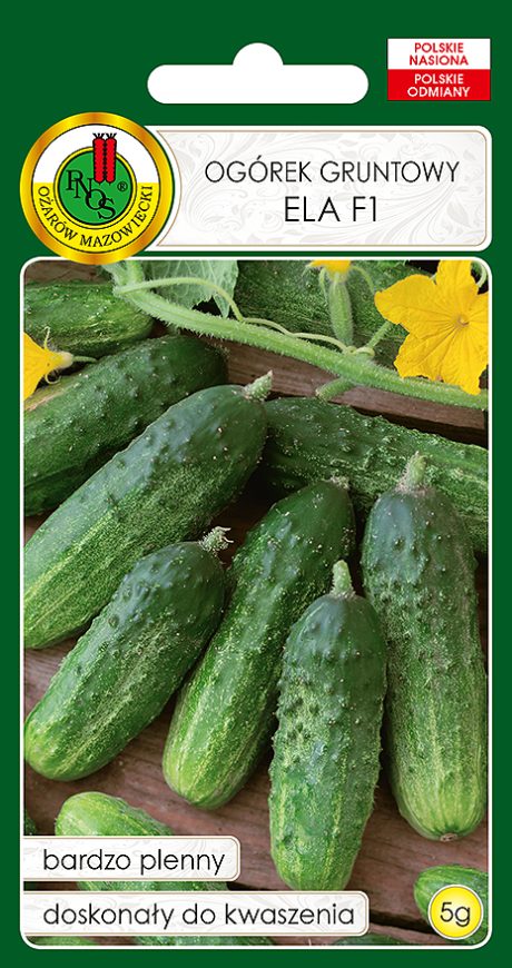 PNOS OGÓREK ELA 5G
