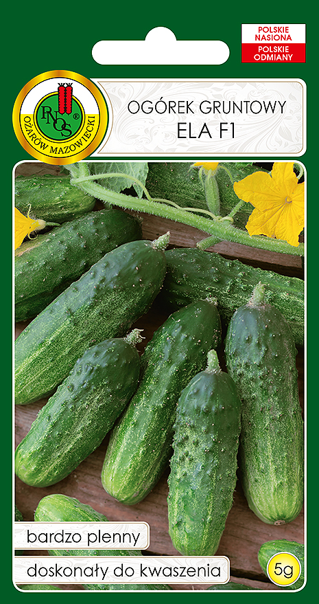 PNOS OGÓREK ELA 5G
