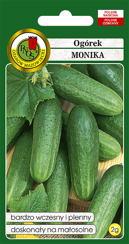 PNOS OGÓREK MONIKA 2G
