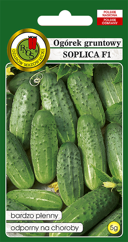 PNOS OGÓREK SOPLICA