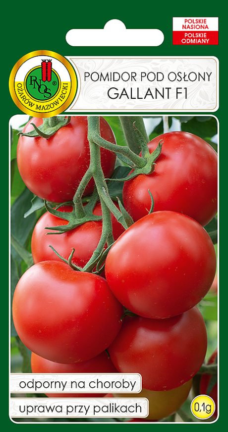 PNOS POMIDOR GALLANT 0,1G