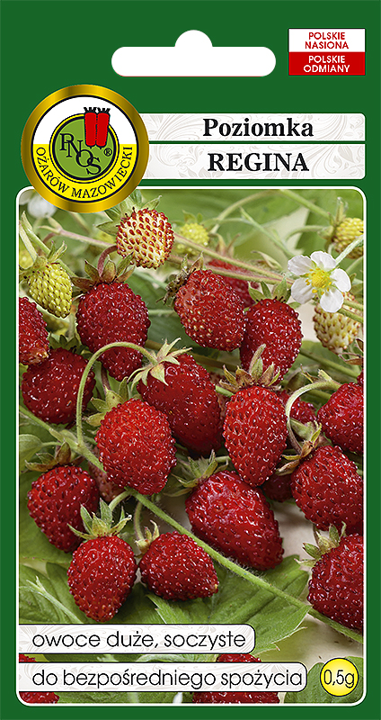 PNOS POZIOMKA REGINA 0,5G
