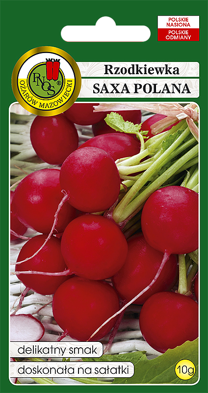PNOS RZODKIEWKA SAXA POLANA
