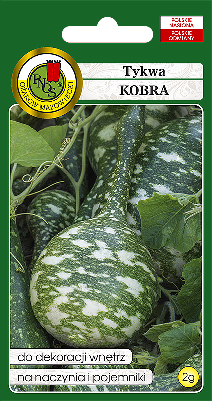 PNOS TYKWA KOBRA