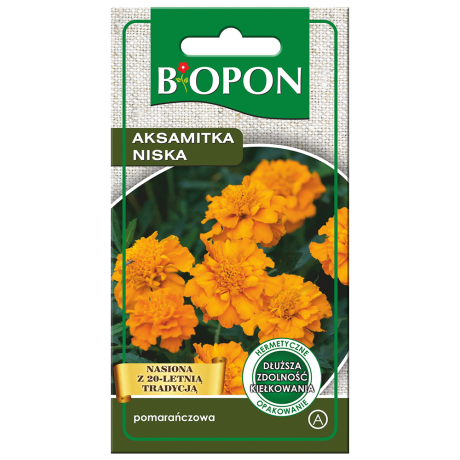 Bopon Aksamitka niska – pomarańczowa