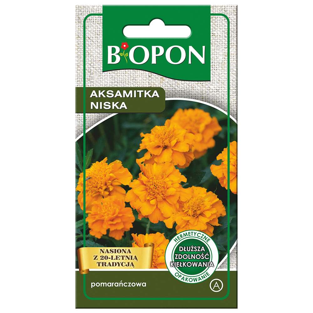 Bopon Aksamitka niska – pomarańczowa