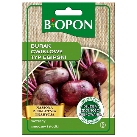 Bopon Burak ćwikłowy Typ Egipski