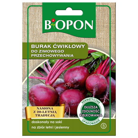 Bopon Burak ćwikłowy do zimowego przechowywania