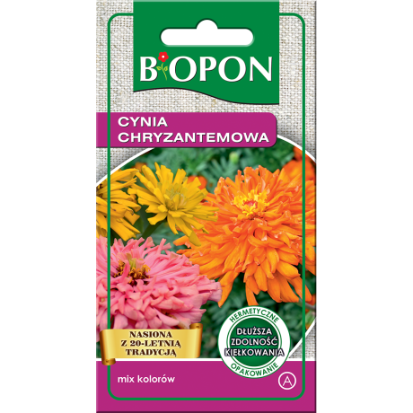 Bopon Cynia chryzantemowa – mix kolorów