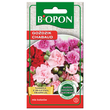 Bopon Goździk Chabaud – mix kolorów