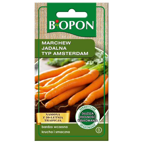 Bopon Marchew jadalna Typ Amsterdam