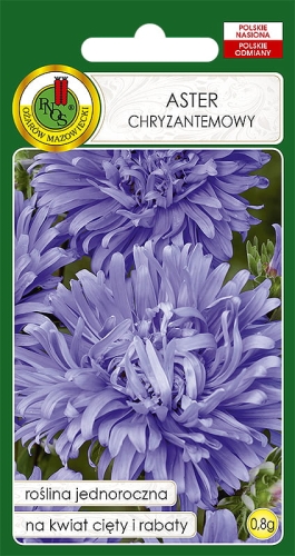 PNOS ASTER CHRYZANTEMOWY FIOLETOWY 0,8G