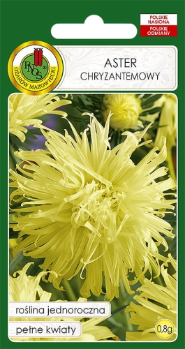 PNOS ASTER CHRYZANTEMOWY ŻÓŁTY 0,8G