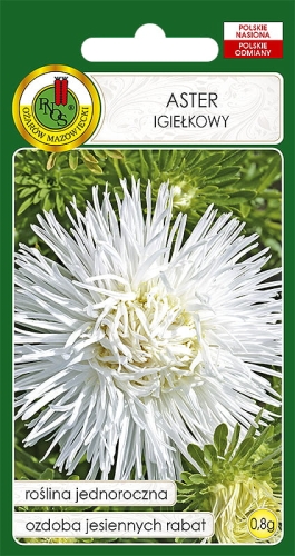 PNOS ASTER IGIEŁKOWY BIAŁY 0,8G