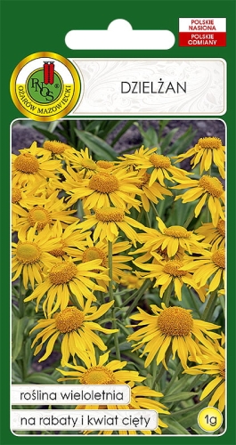 PNOS DZIELŻAN ŻÓŁTY 1G