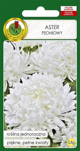 PNOS ASTER PEONIOWY BIAŁY 0,8G