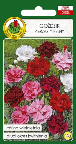 PNOS GOŹDZIK PIERZASTY PEŁNY MIX 0,3G