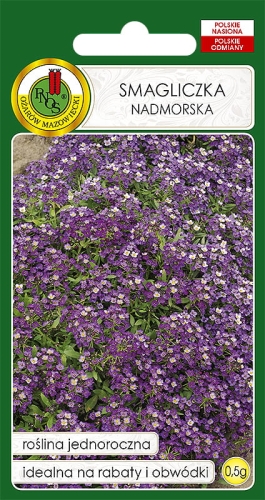 PNOS SMAGLICZKA NADMORSKA FIOLETOWA 0,5G