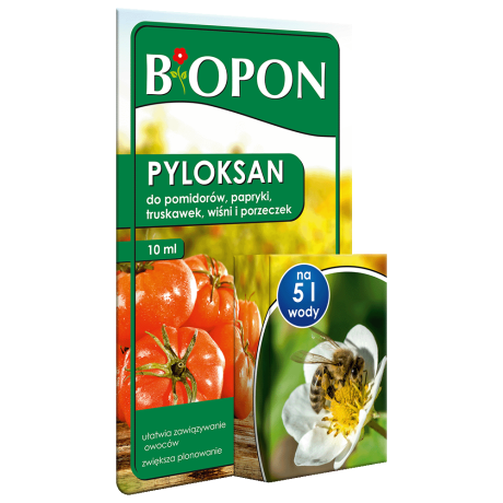 Bopon Pyloksan