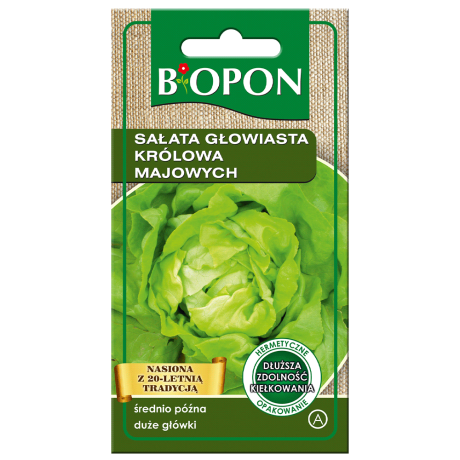 Bopon Sałata głowiasta Królowa Majowych