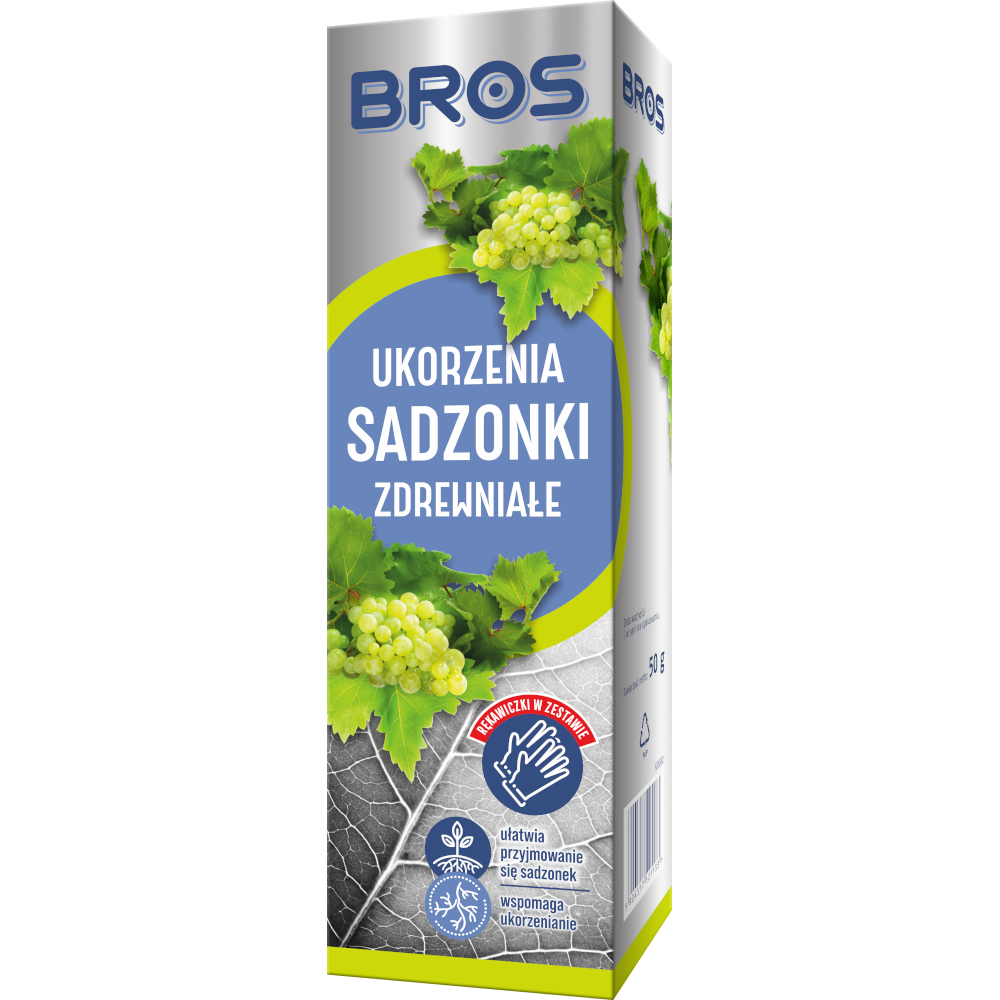 Bros Ukorzenia sadzonki zdrewniałe