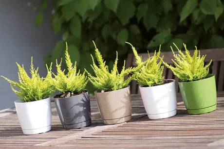 PROSPERPLAST DONICZKA DUOP COUBI 110 BIAŁA