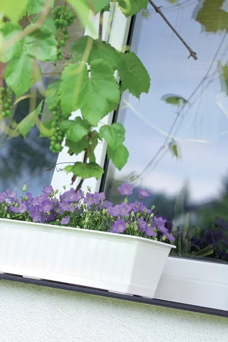 PROSPERPLAST SKRZYNKA AGRO 800 BIALA