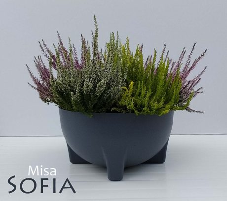 DORFORM MISA SOFIA 30CM MIX