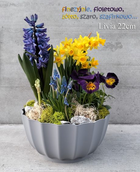 DORFORM MISA LIVIA 22CM MIX