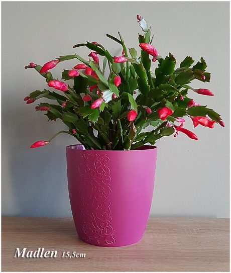 DORFORM OSŁONKA MADLEN 15,5CM MIX