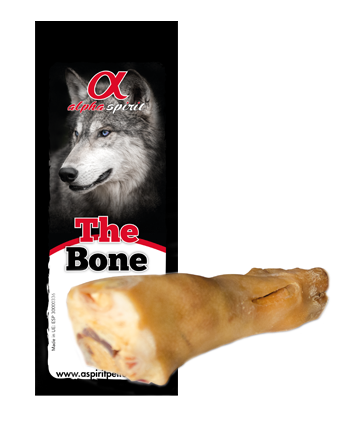 ALPHA SPIRIT HISZPAŃSKA RACICA NR6