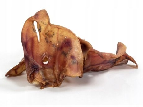 BULT UCHO WIEPRZOWE 10SZT L