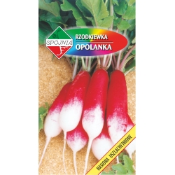 SPÓJNIA RZODKIEWKA OPOLANKA 5G