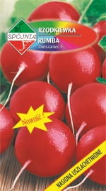 SPÓJNIA RZODKIEWKA RUMBA 5G