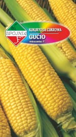 SPÓJNIA KUKURYDZA GUCIO 10G