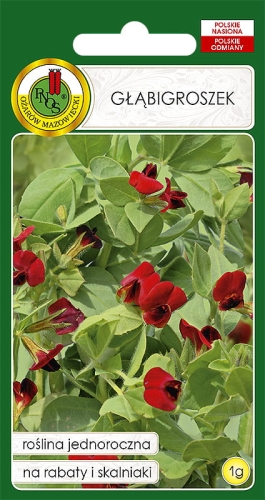 PNOS GŁĄBIGROSZEK  1G