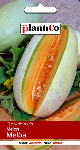 LEGUTKO MELON MELBA 1G
