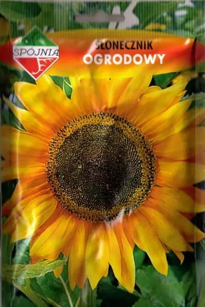 SPÓJNIA SŁONECZNIK OGRODOWY 20G