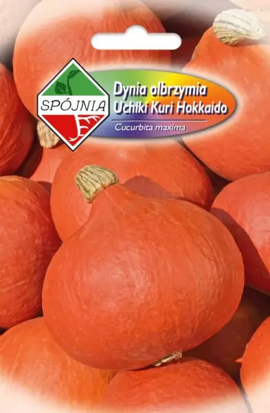 SPÓJNIA DYNIA UCHIKI KURI 2G