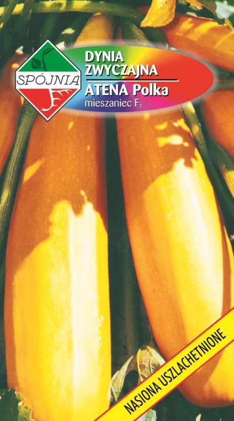 SPÓJNIA DYNIA CUKINIA ATENA POLKA 2G