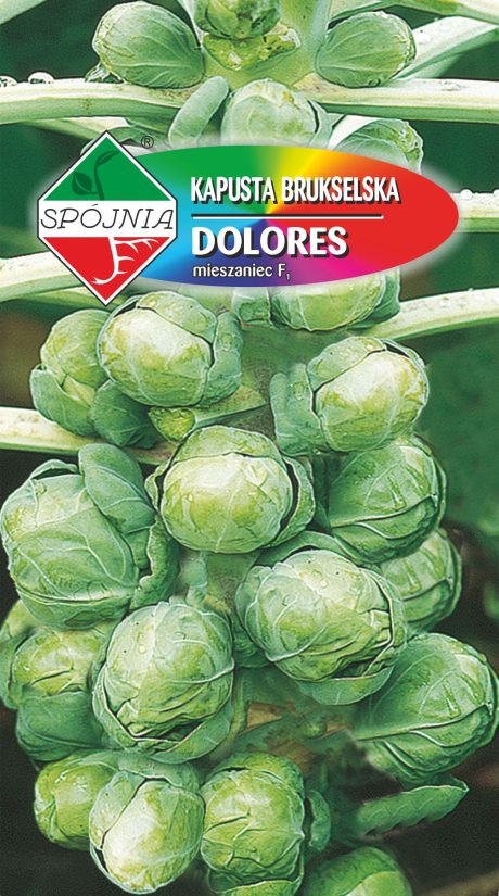 SPÓJNIA KAPUSTA BRUKSELKA DOLORES 0,5G