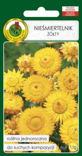PNOS NIESMIERTELNIK ŻÓŁTY 1,5G